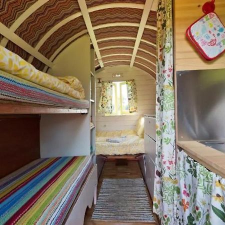 Clissmann Horse Caravans Glamping ラスドラム エクステリア 写真