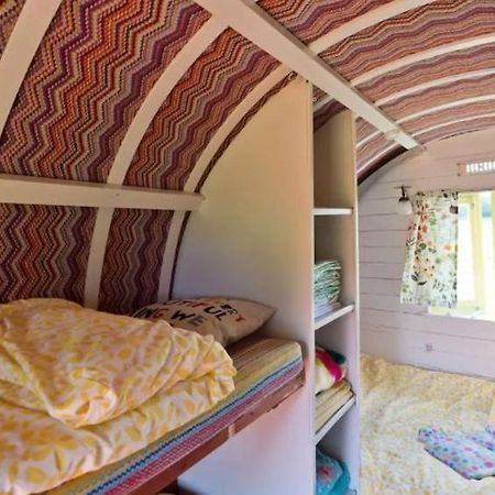 Clissmann Horse Caravans Glamping ラスドラム エクステリア 写真
