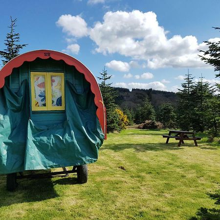 Clissmann Horse Caravans Glamping ラスドラム エクステリア 写真