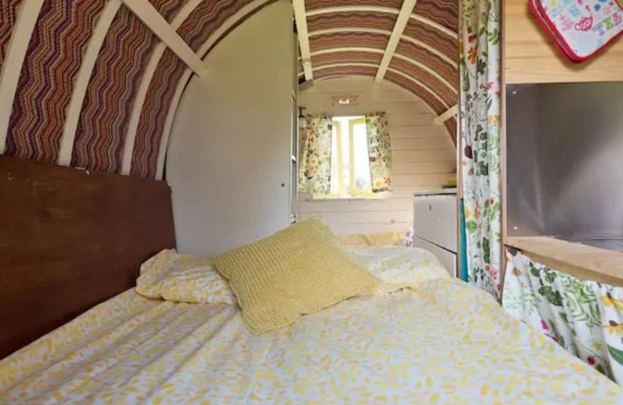 Clissmann Horse Caravans Glamping ラスドラム エクステリア 写真
