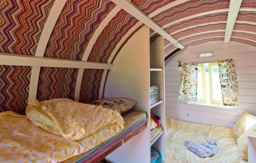 Clissmann Horse Caravans Glamping ラスドラム エクステリア 写真