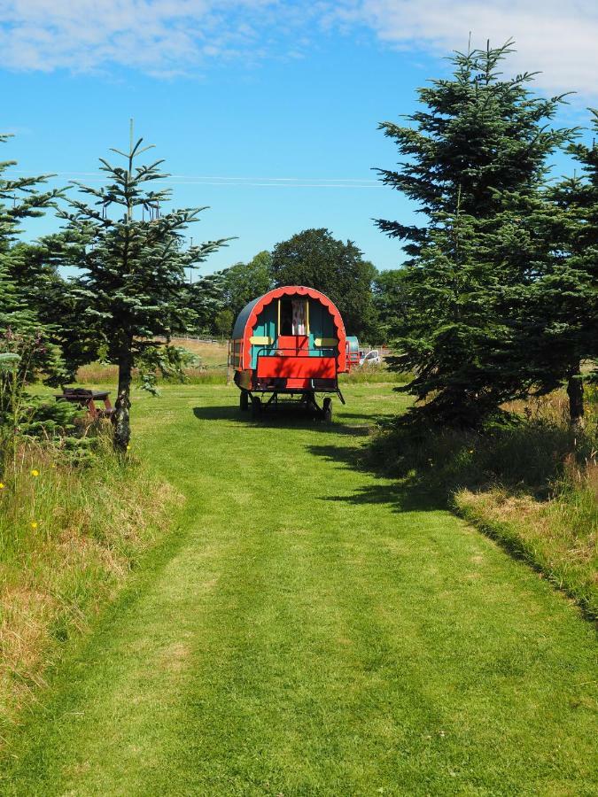 Clissmann Horse Caravans Glamping ラスドラム エクステリア 写真