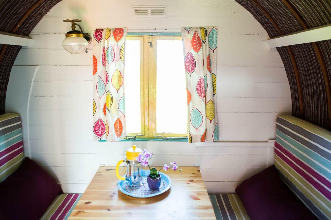 Clissmann Horse Caravans Glamping ラスドラム エクステリア 写真