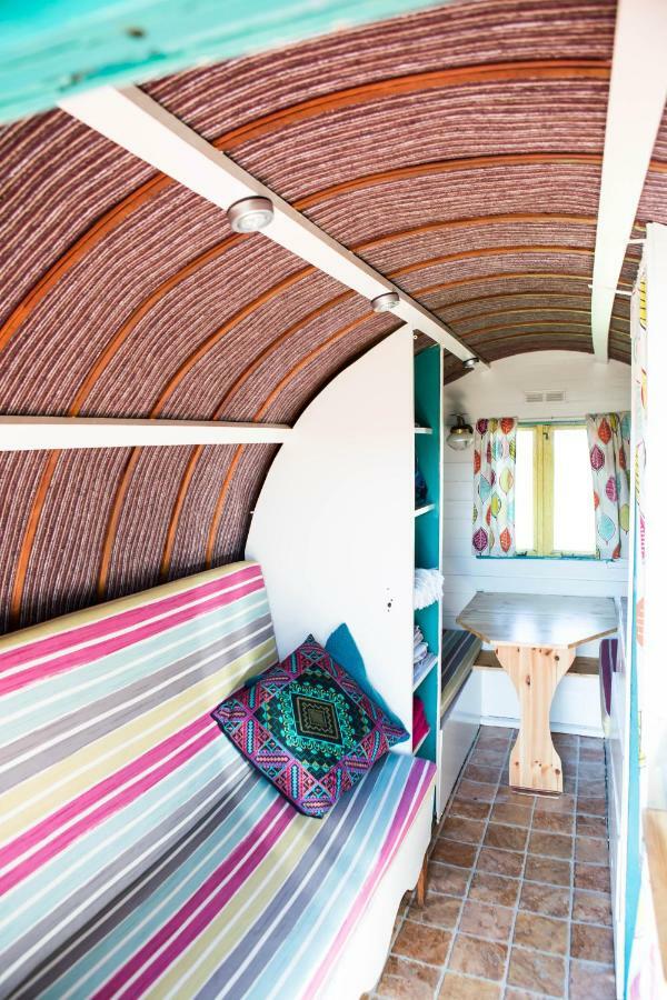 Clissmann Horse Caravans Glamping ラスドラム エクステリア 写真