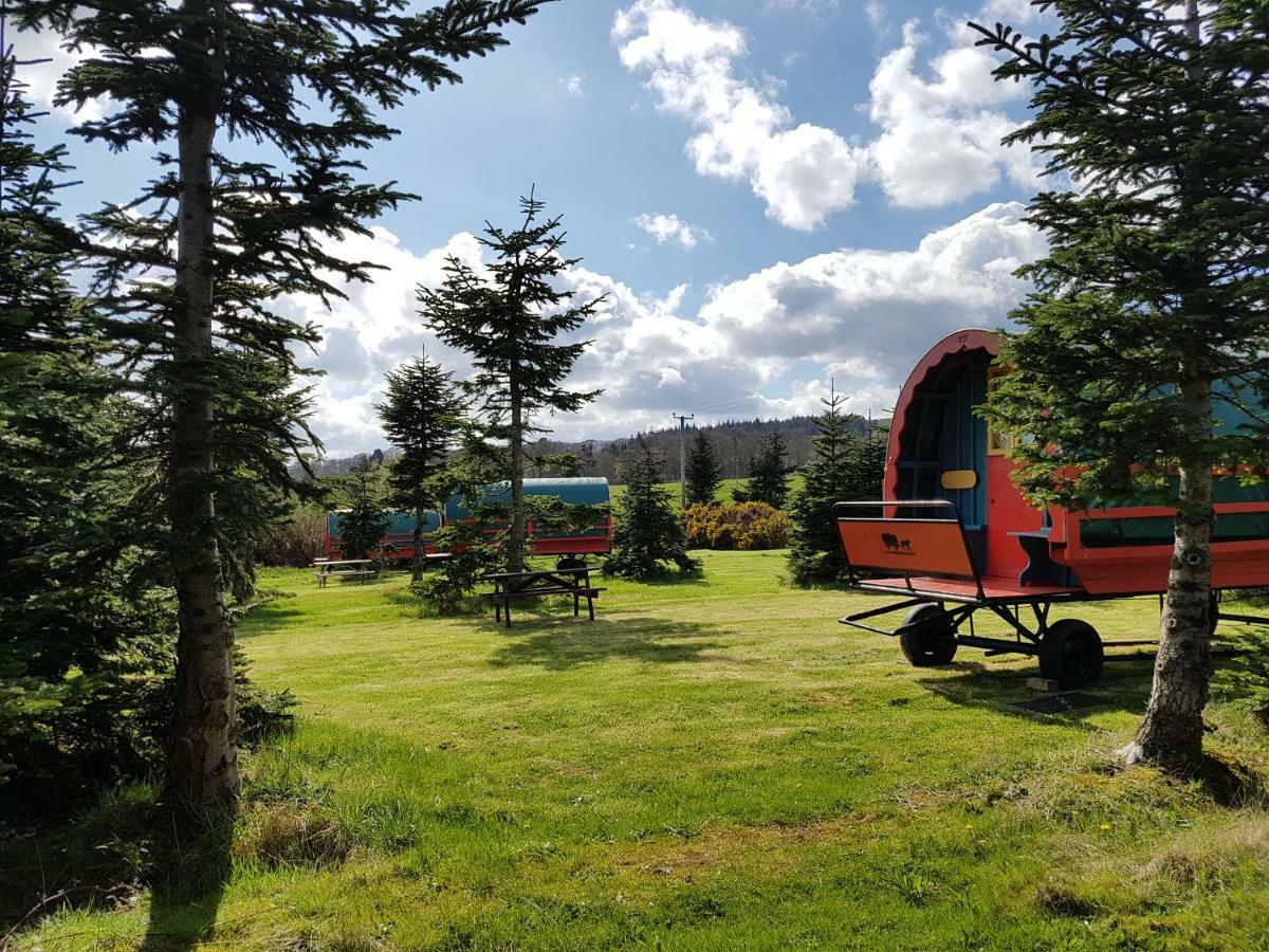 Clissmann Horse Caravans Glamping ラスドラム エクステリア 写真