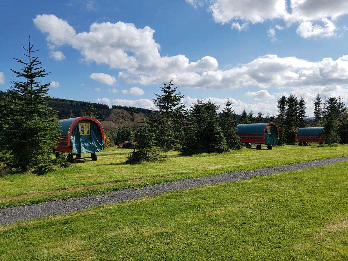 Clissmann Horse Caravans Glamping ラスドラム エクステリア 写真