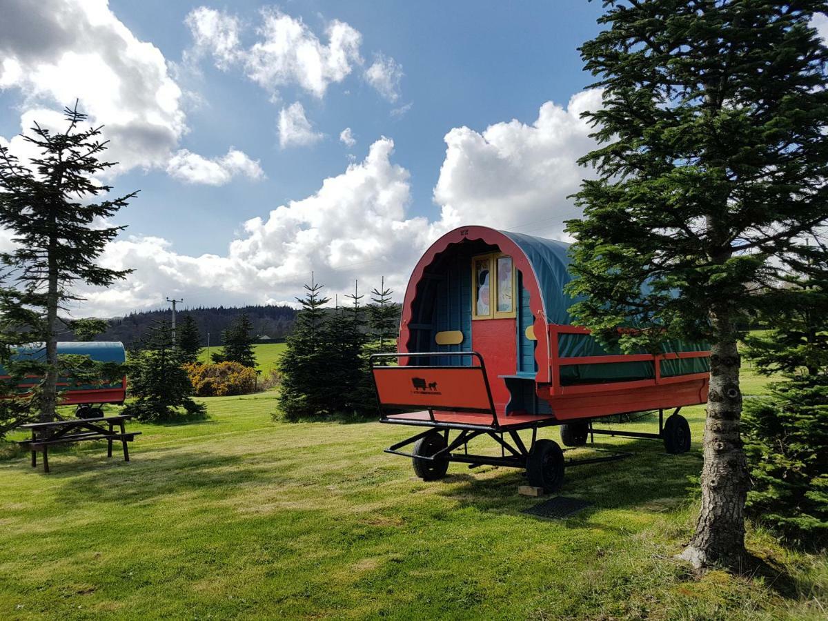 Clissmann Horse Caravans Glamping ラスドラム エクステリア 写真