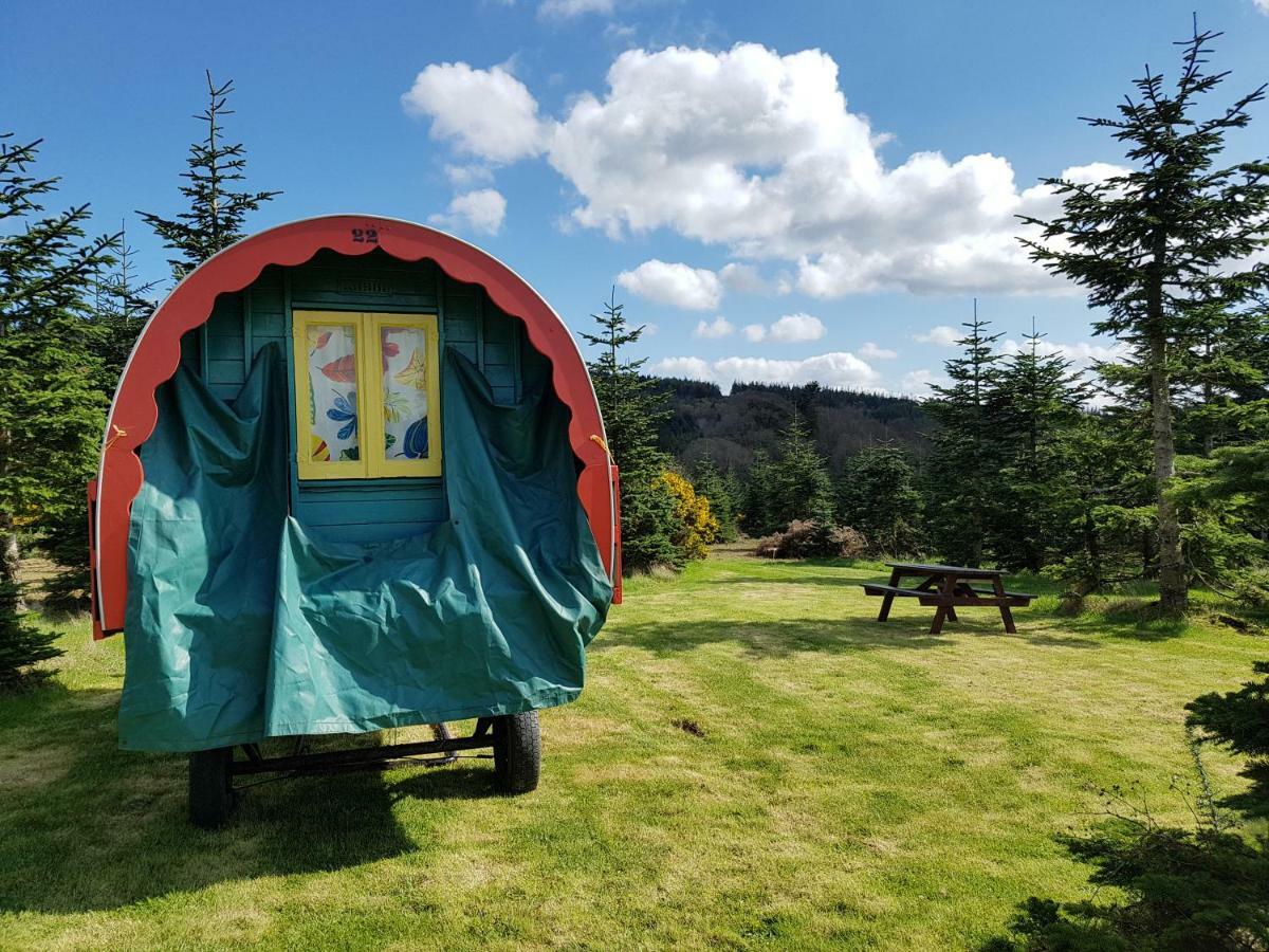 Clissmann Horse Caravans Glamping ラスドラム エクステリア 写真