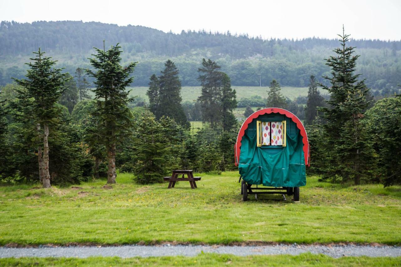 Clissmann Horse Caravans Glamping ラスドラム エクステリア 写真