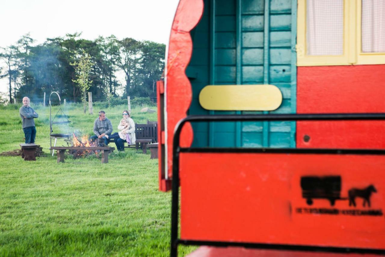 Clissmann Horse Caravans Glamping ラスドラム エクステリア 写真